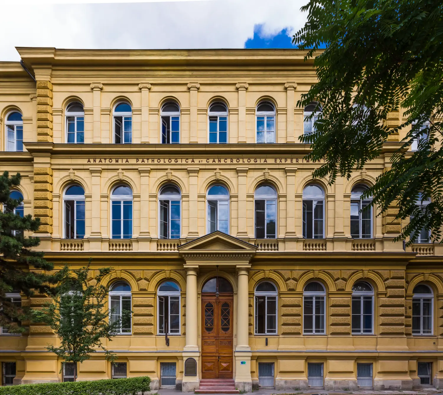 Portfólió fotó